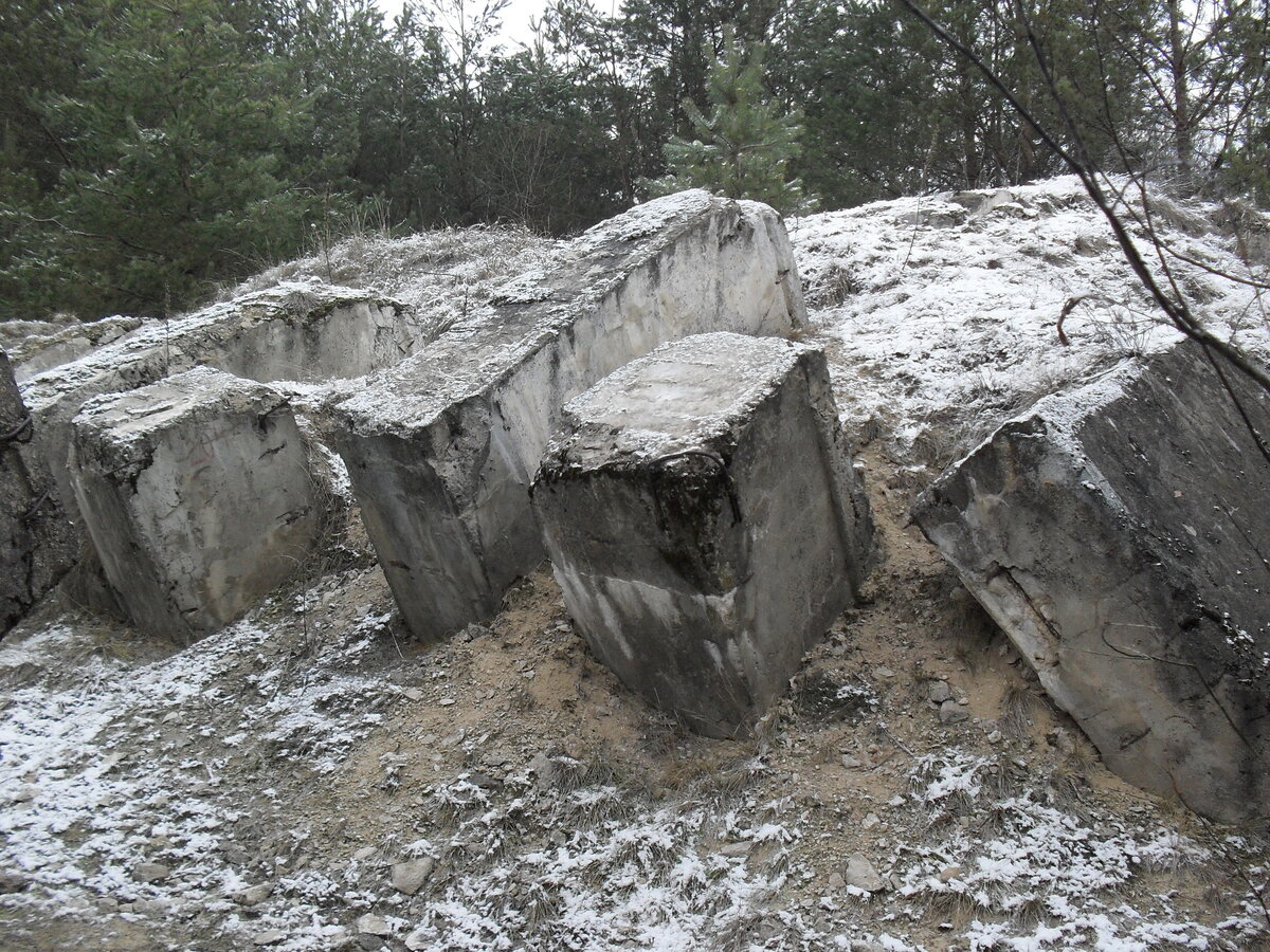 SDC12803.JPG