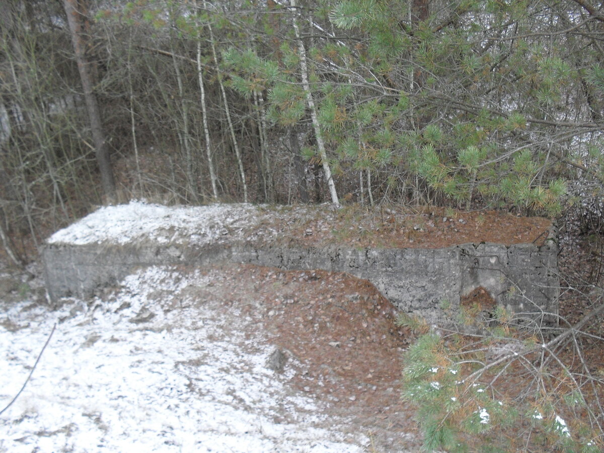 SDC12805.JPG