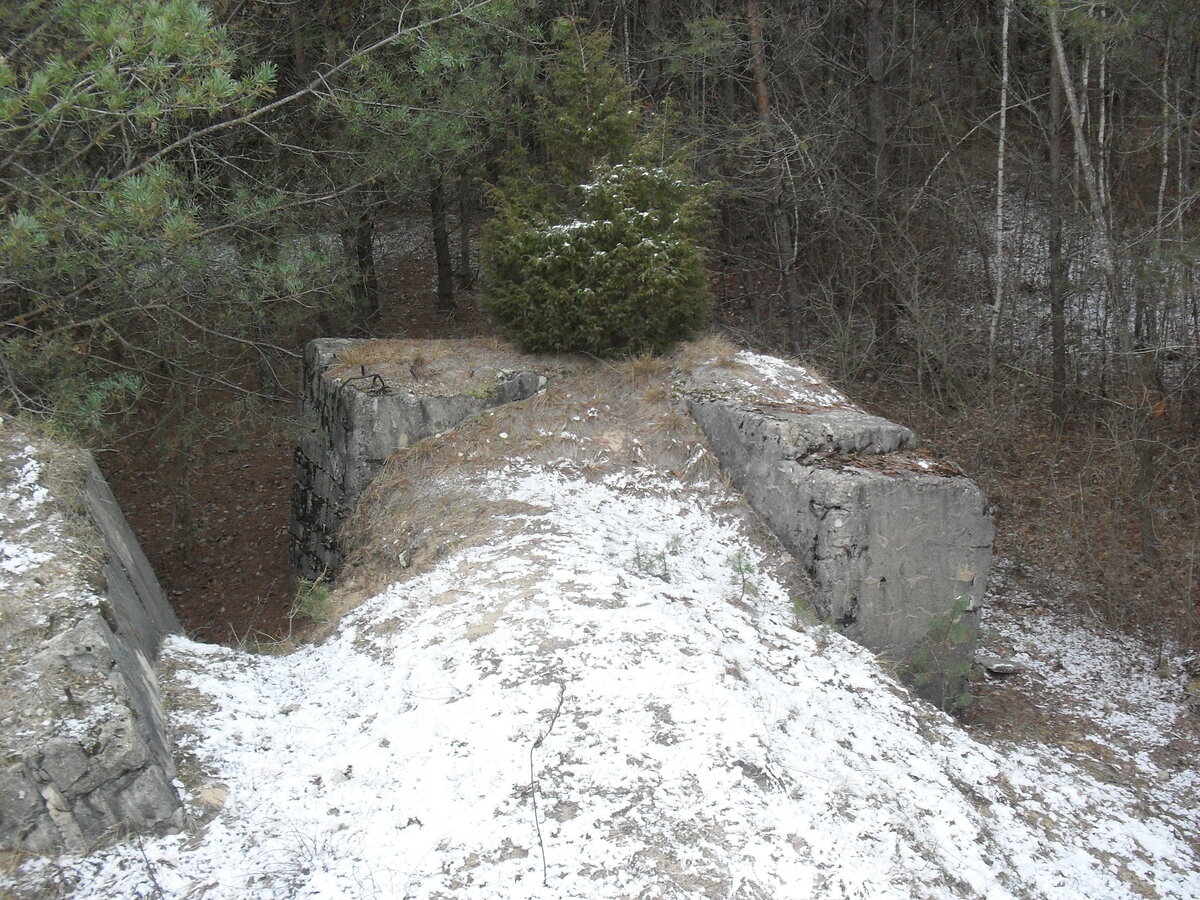 SDC12806.JPG