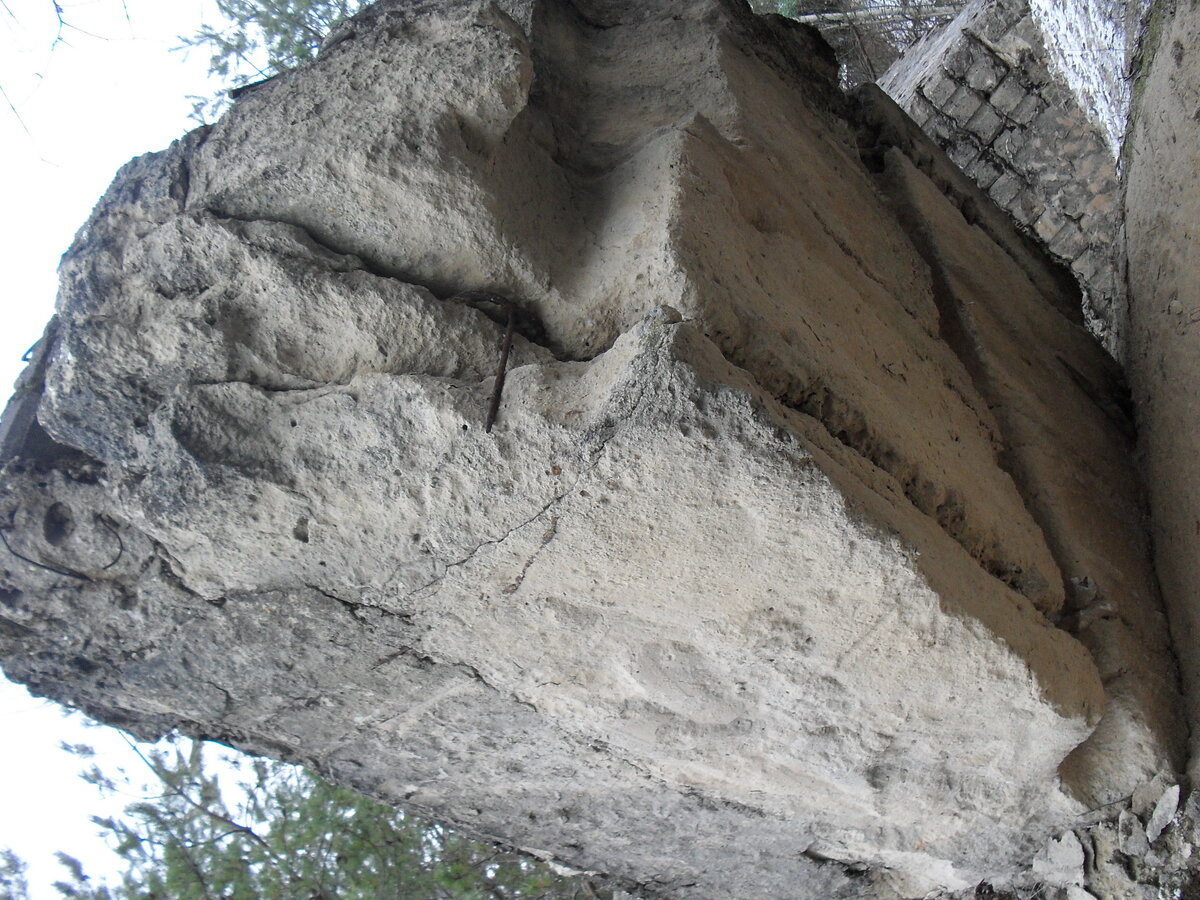 SDC12811.JPG