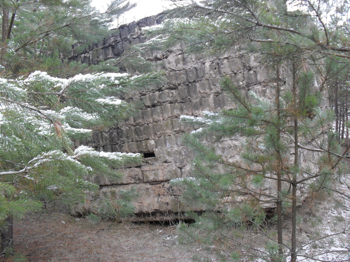 SDC12813.JPG