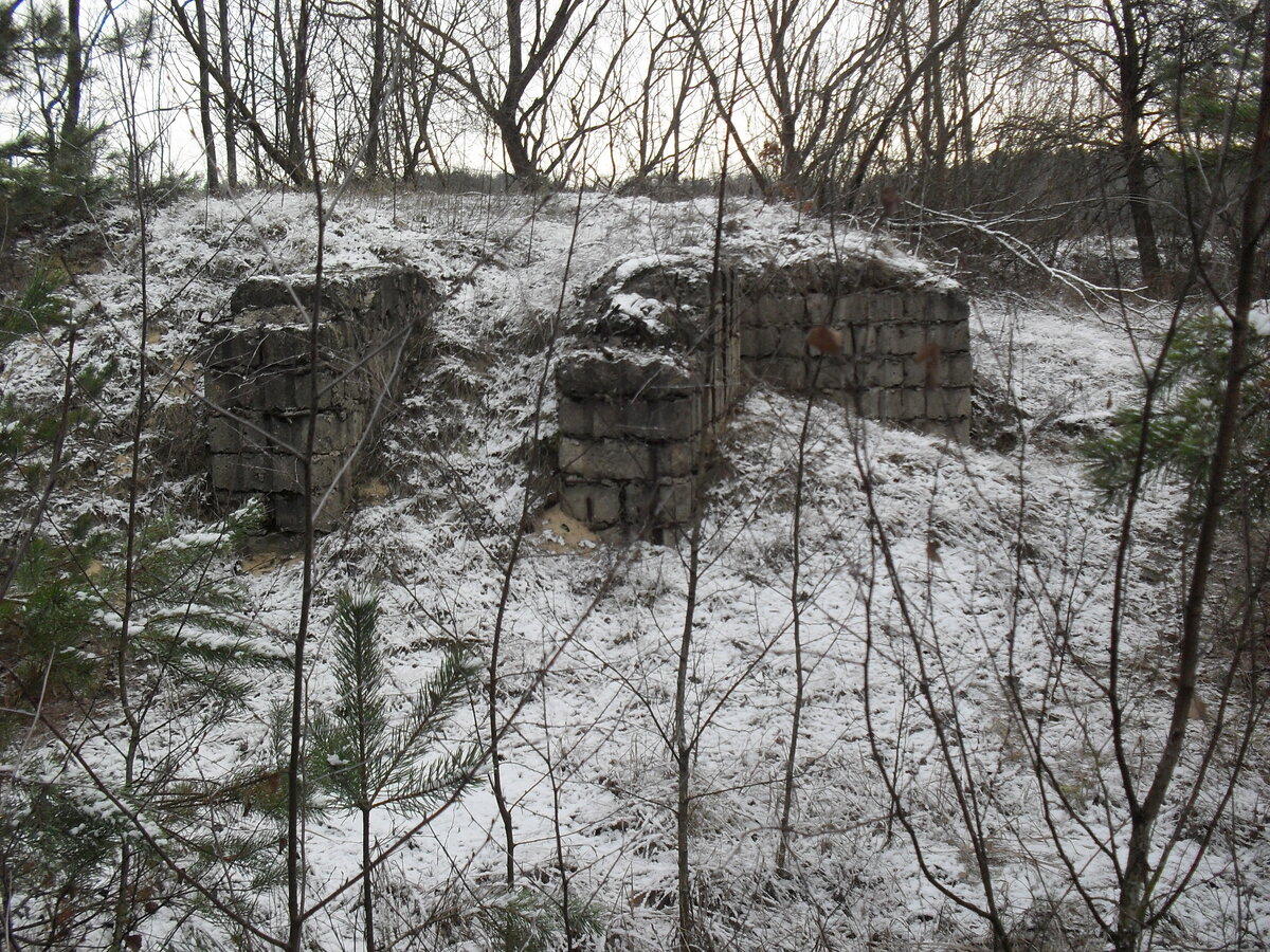 SDC12815.JPG