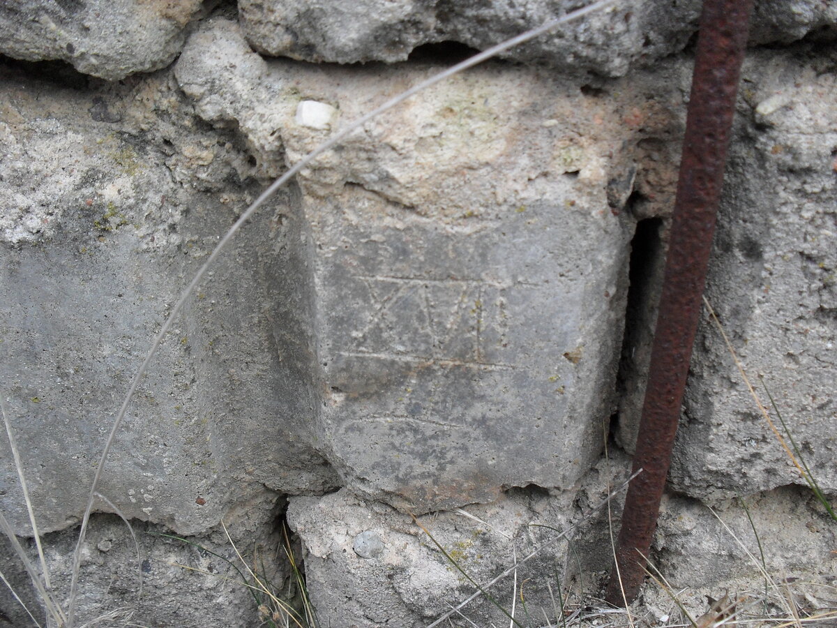 SDC12816.JPG
