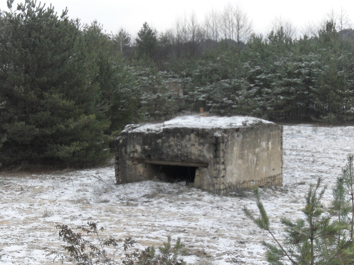 SDC12818.JPG