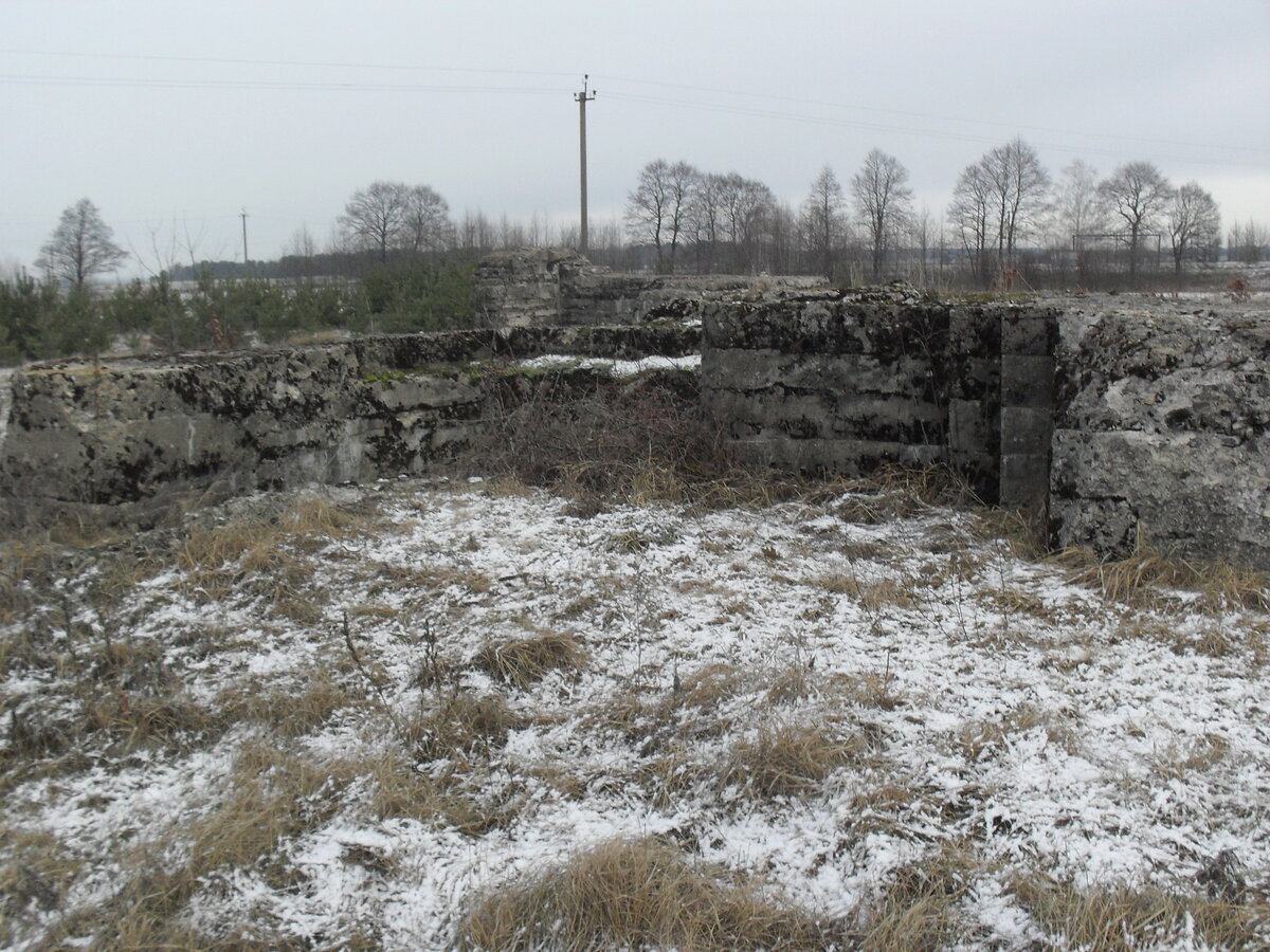 SDC12823.JPG