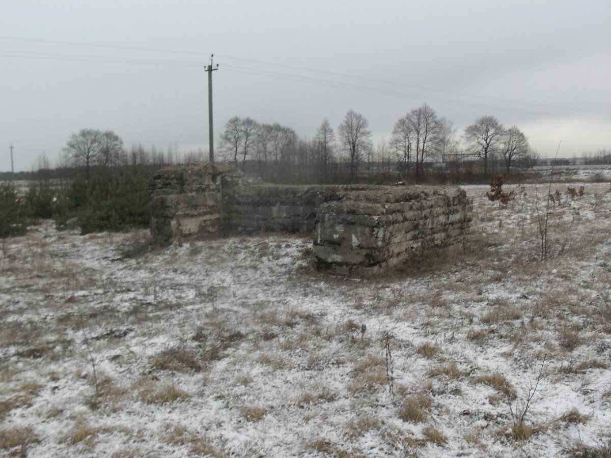 SDC12825.JPG