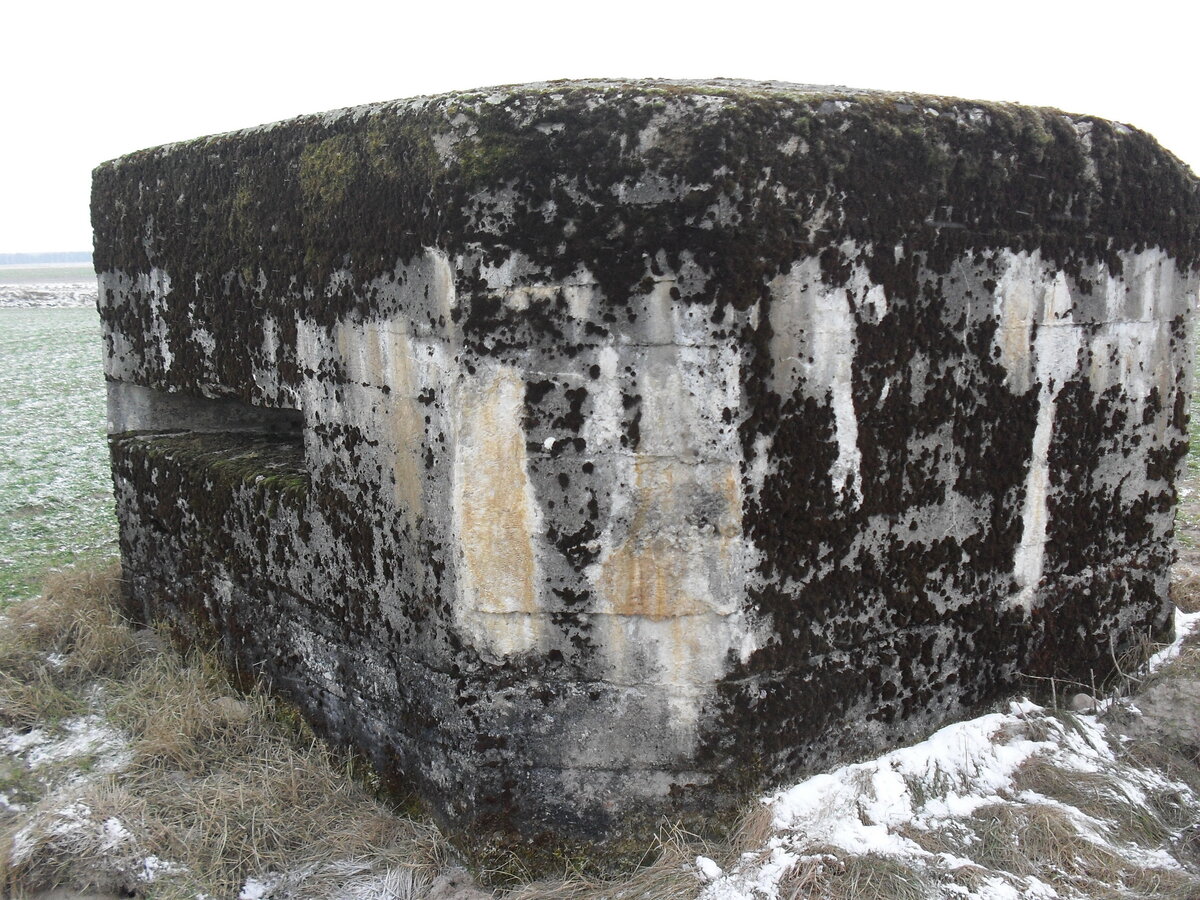 SDC12830.JPG