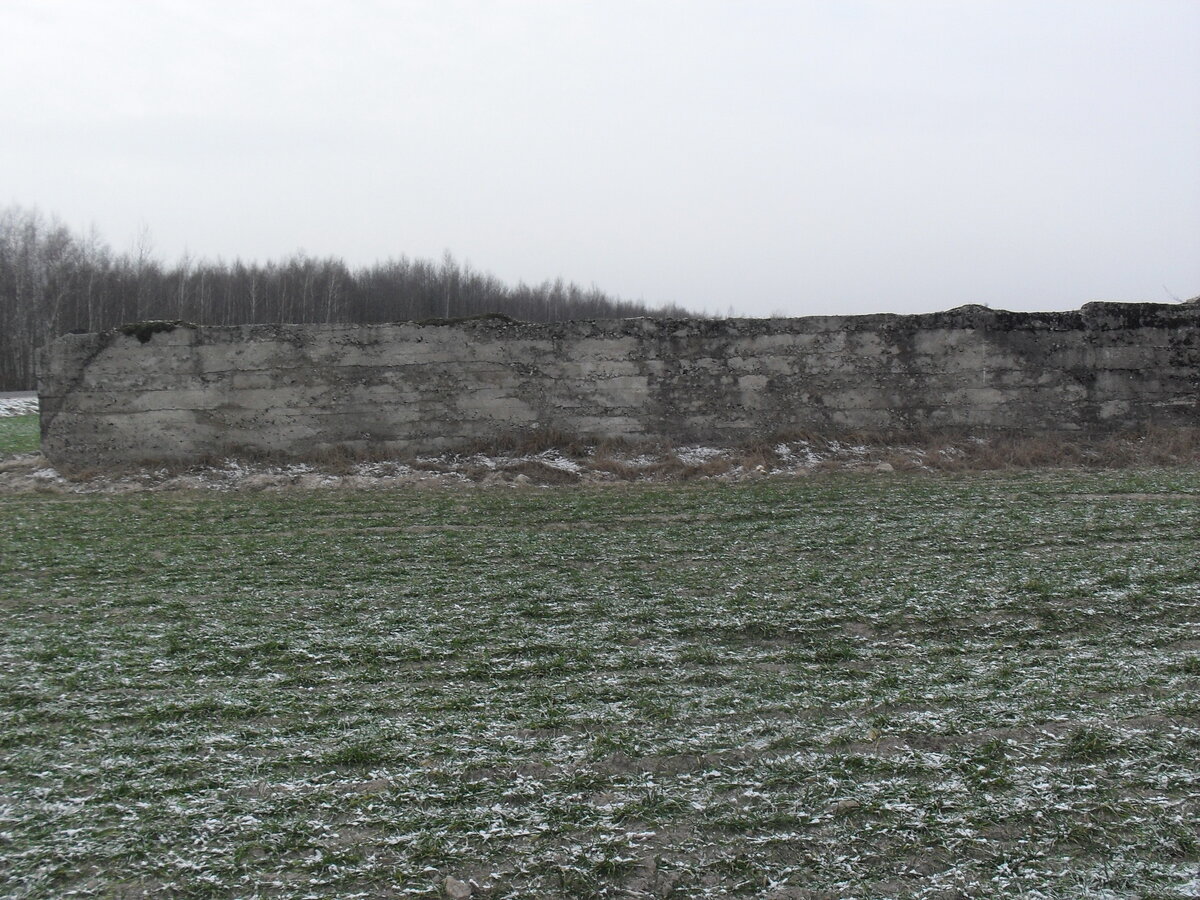 SDC12833.JPG