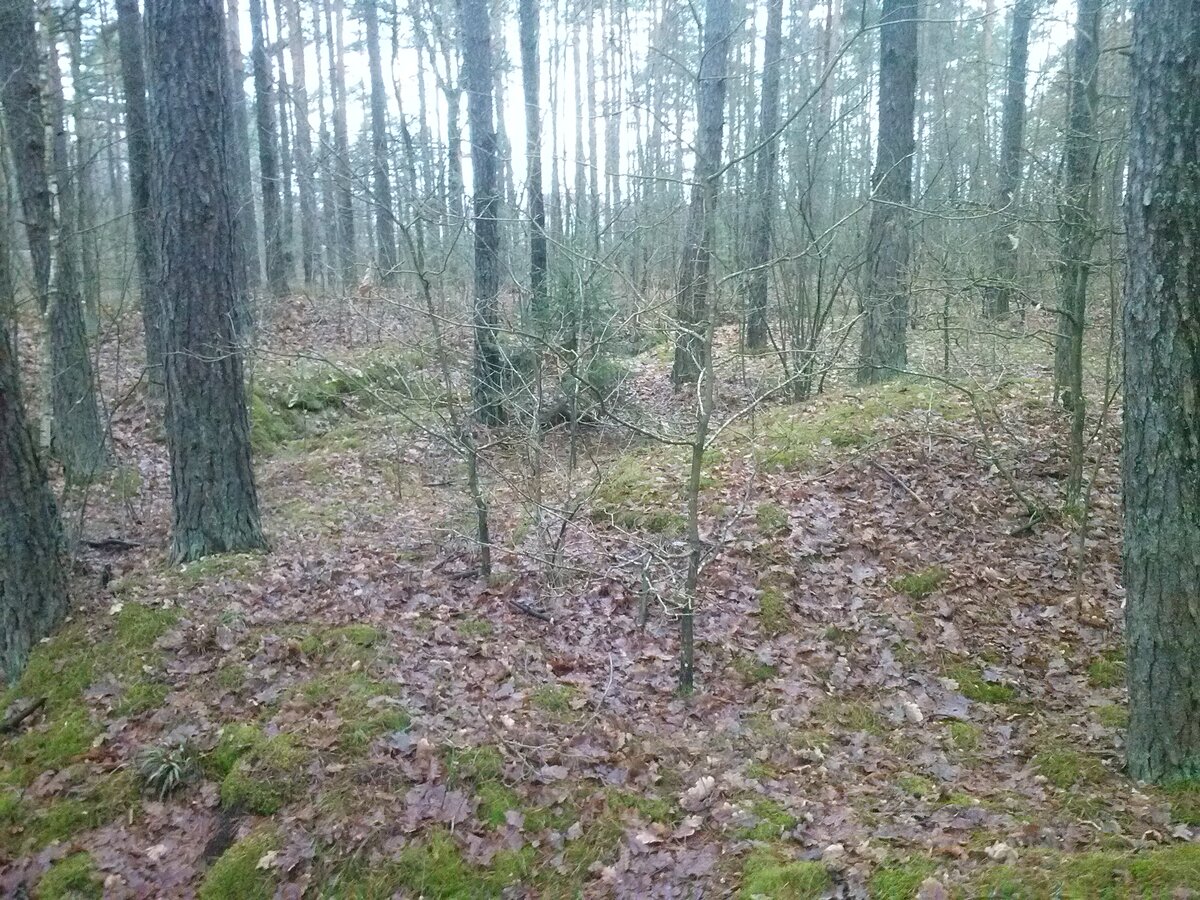 CAM00968.jpg