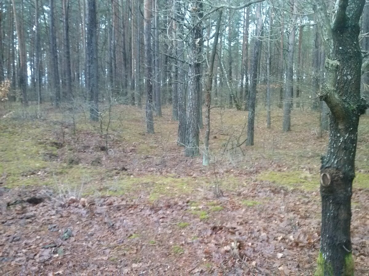 CAM00971.jpg