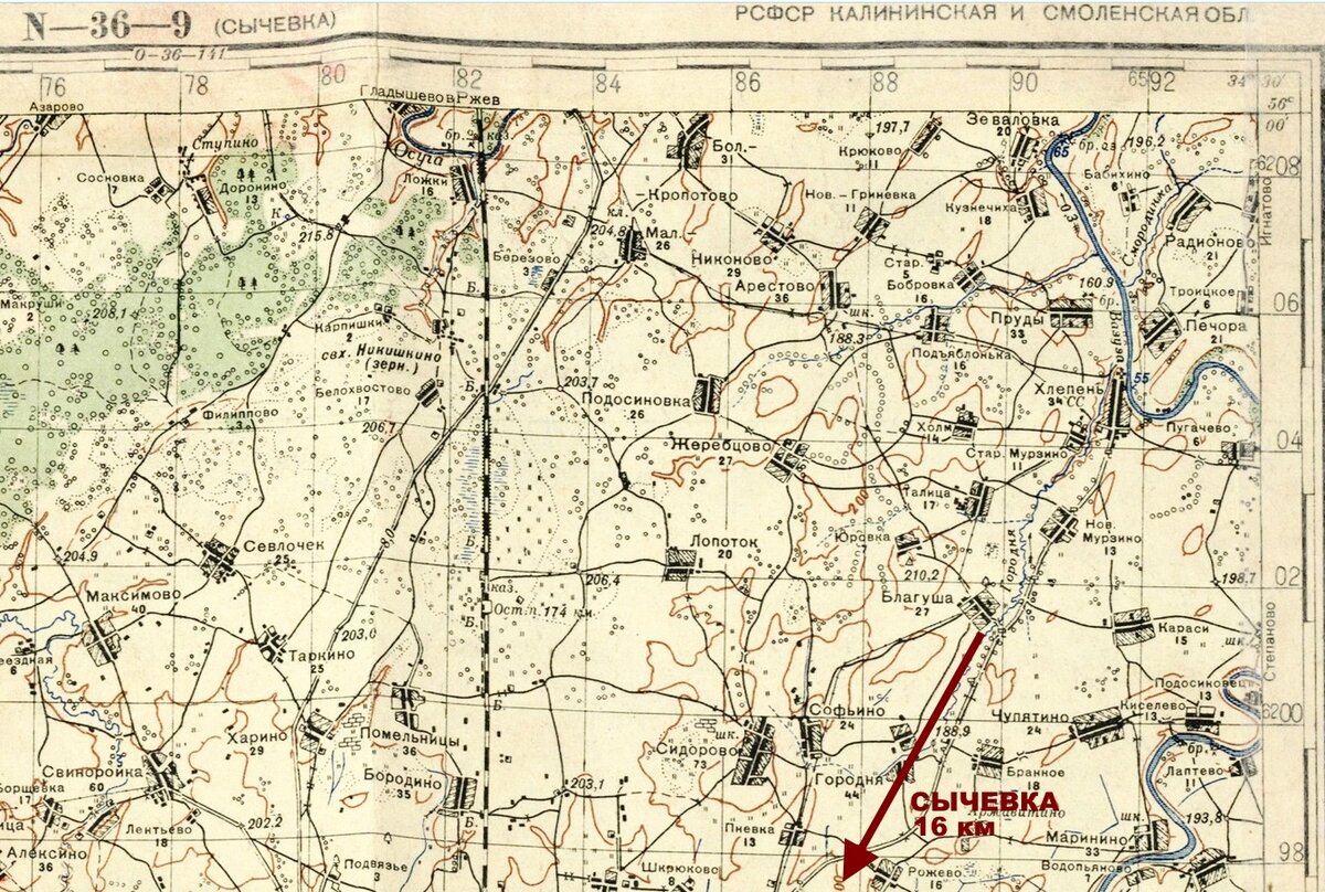СЫЧЕВКА(0_0) Цветная Обрезка.jpg