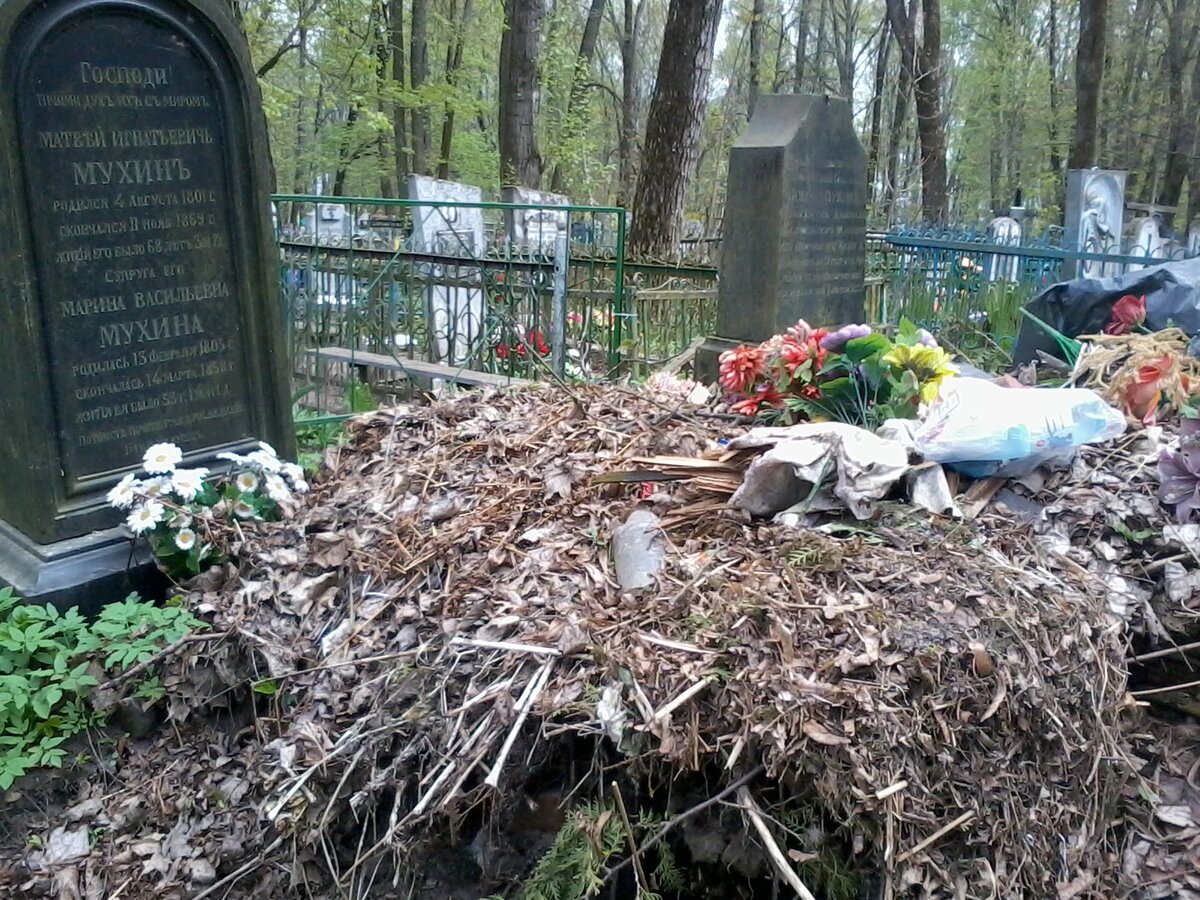 2014-04-29 15.54.37.jpg
