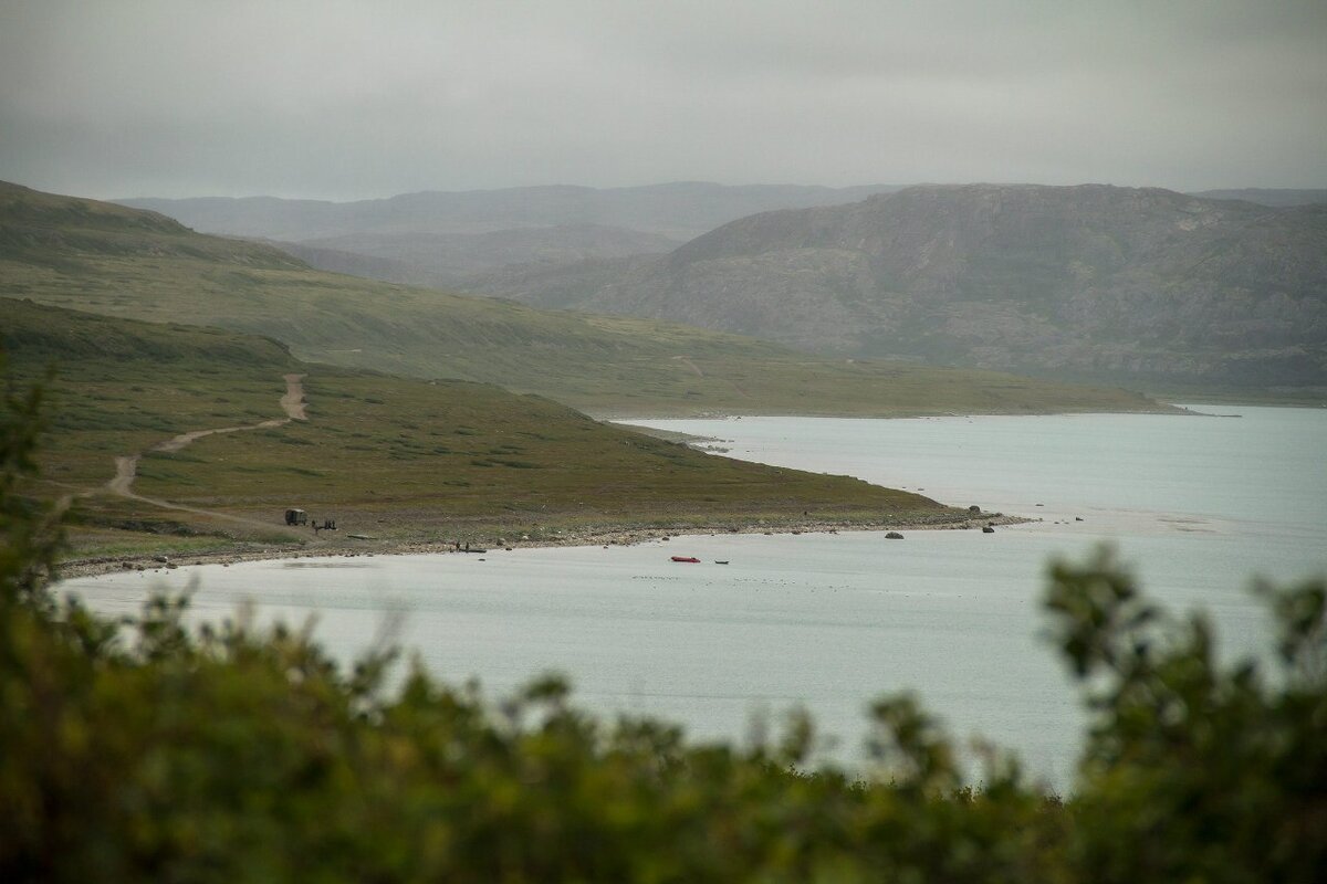 525.jpg