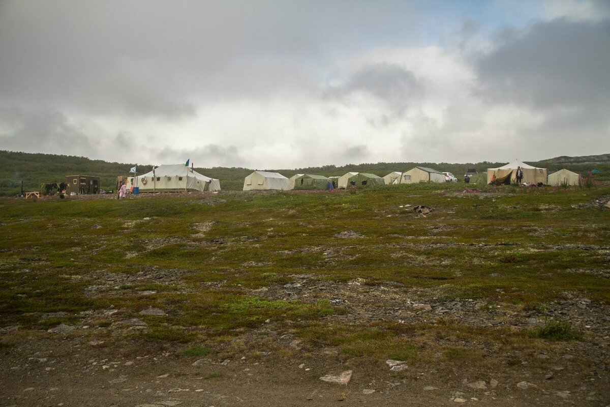 528.jpg