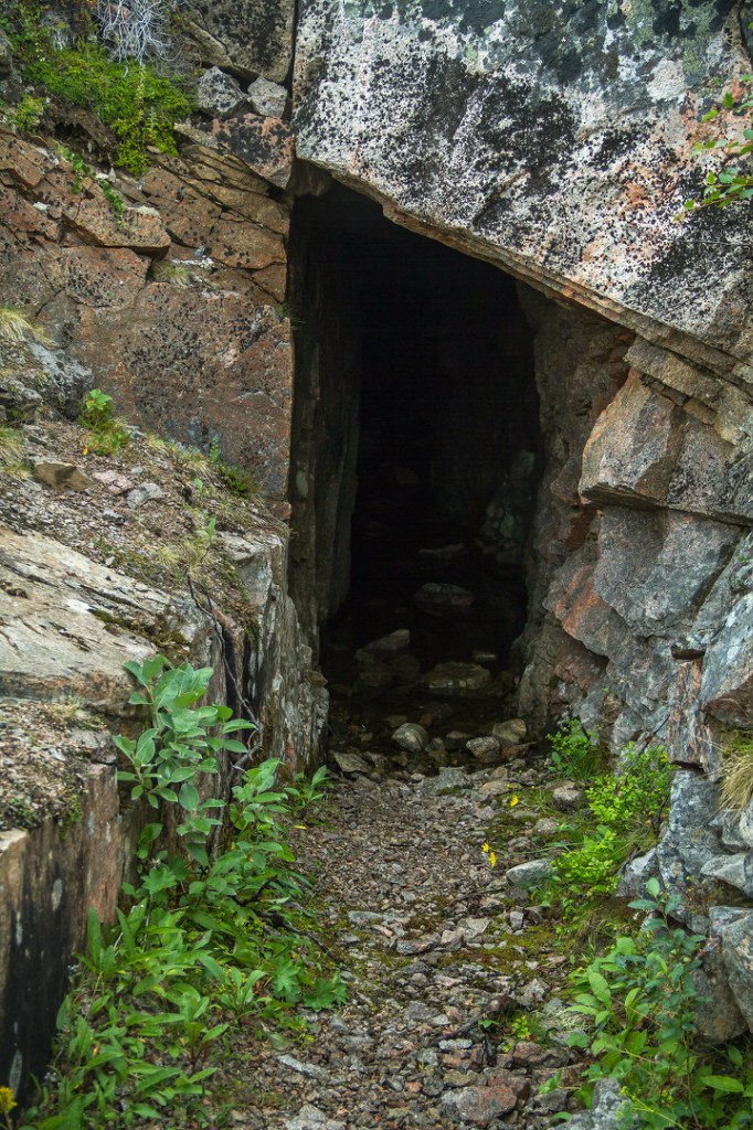 577.jpg