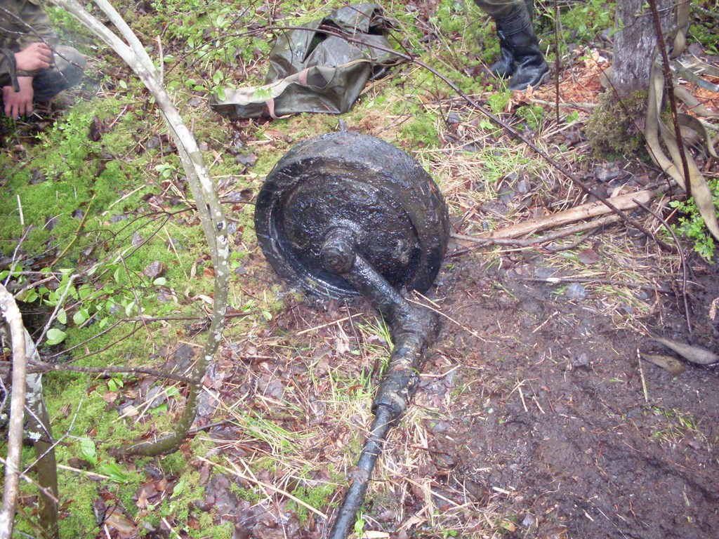 SDC10745 (Копировать).JPG