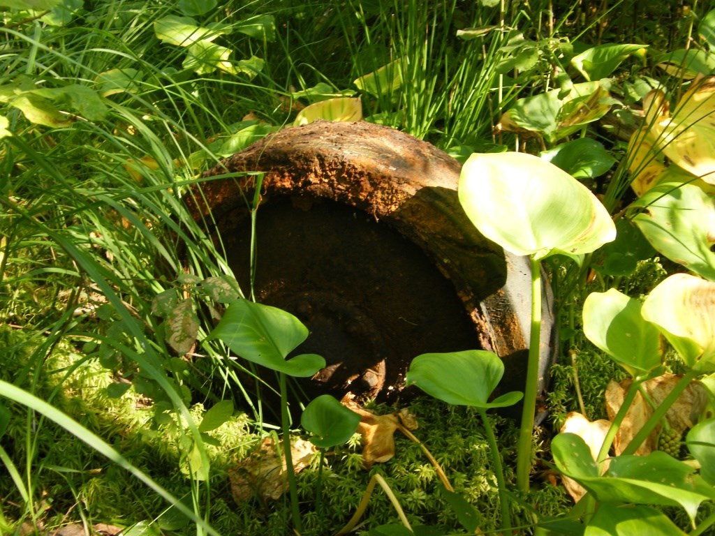 04 (Копировать).jpg