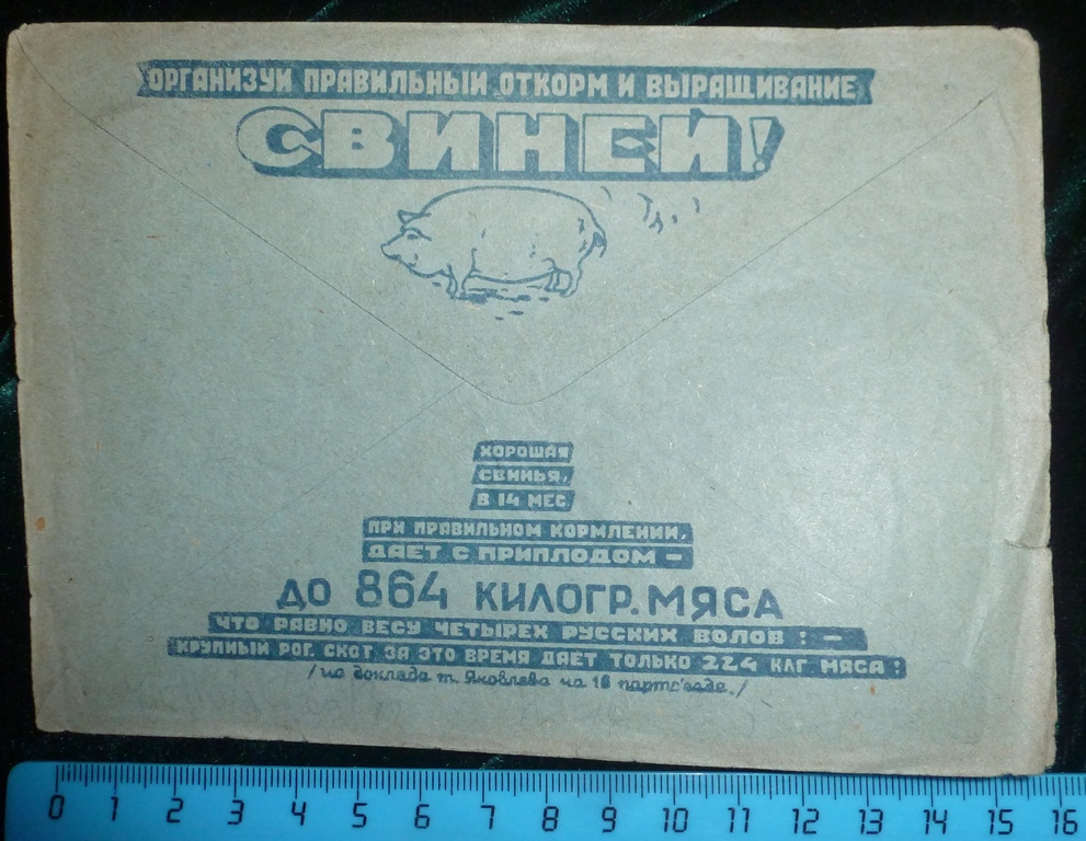 5547133.jpg