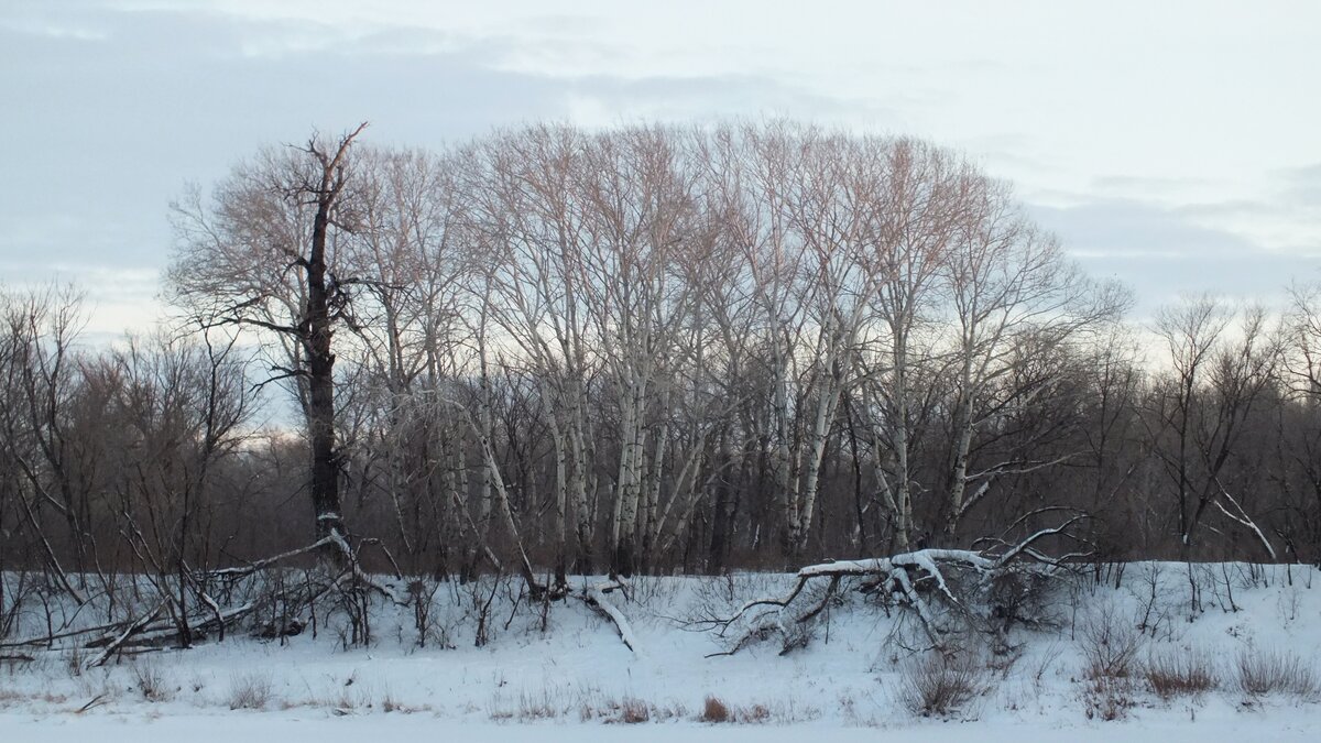 DSCF0622.JPG