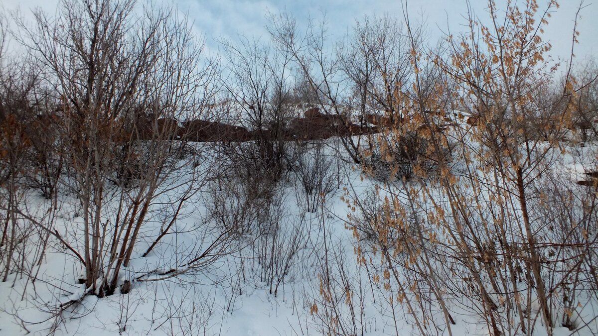 DSCF0630.JPG