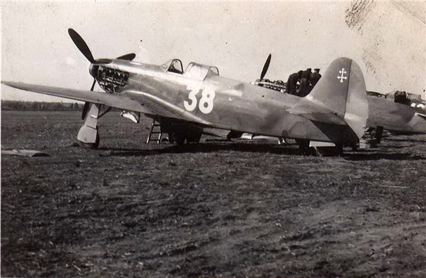 f5a59cc5eea1.jpg