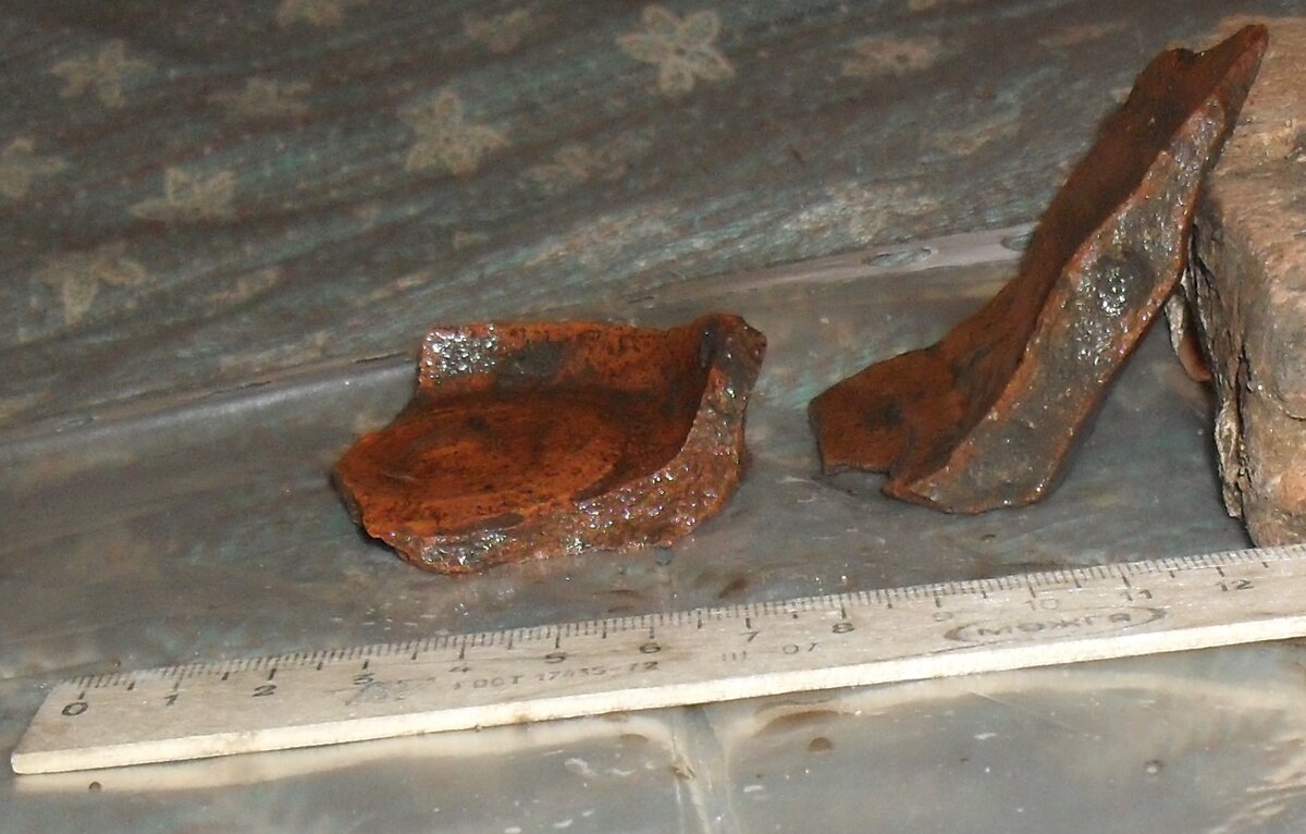 SDC17088.JPG