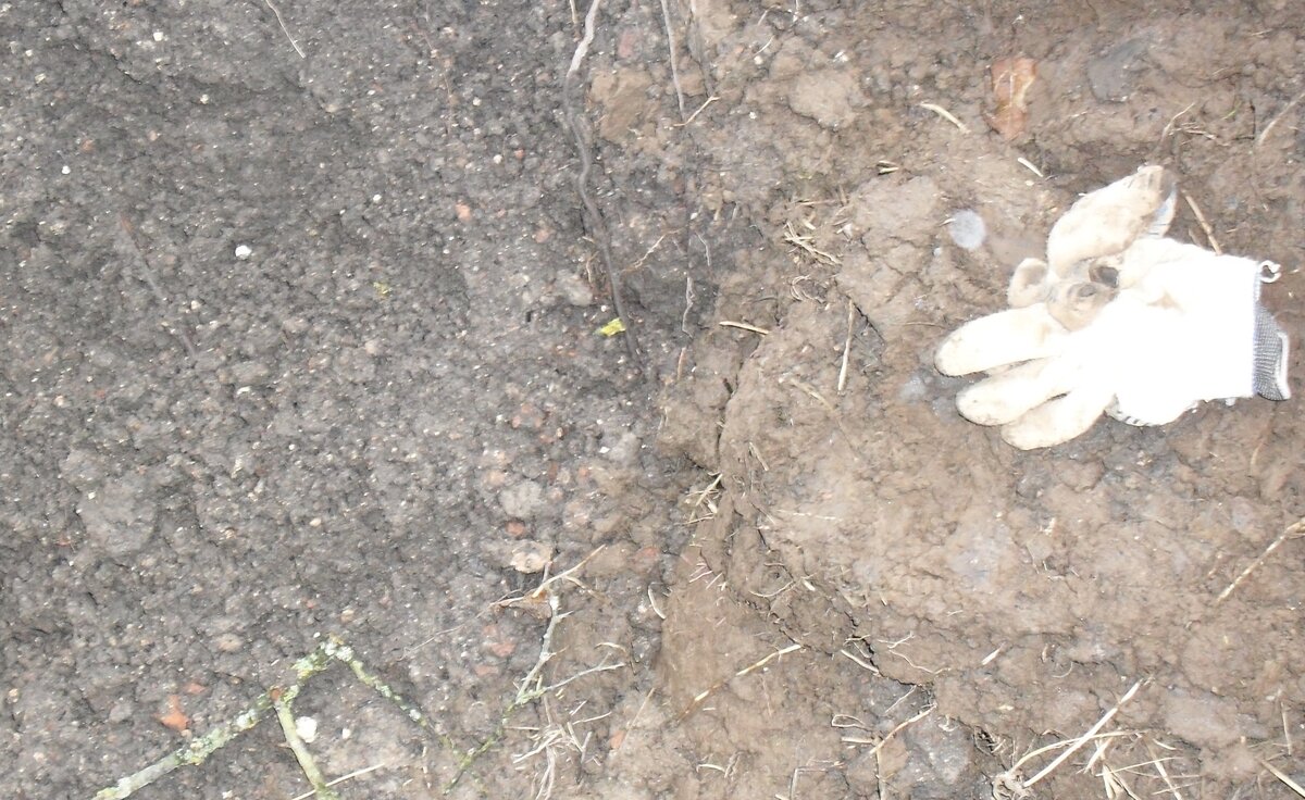 SDC17093.JPG
