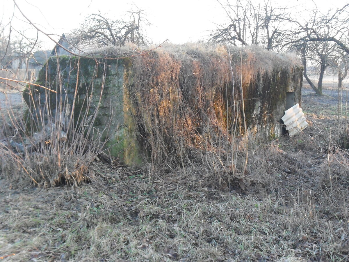 SDC12877.JPG