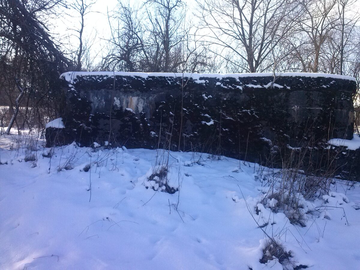 CAM01060.jpg