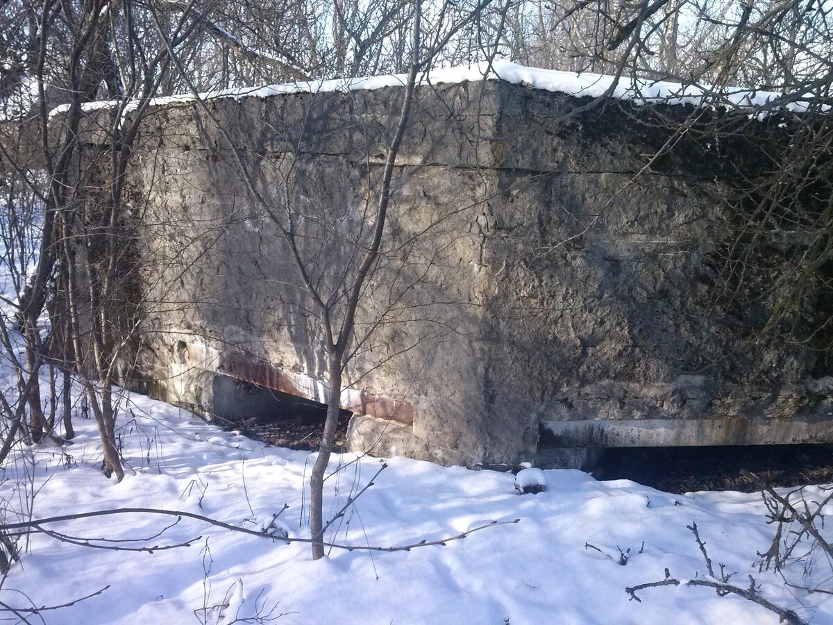 CAM01063.jpg