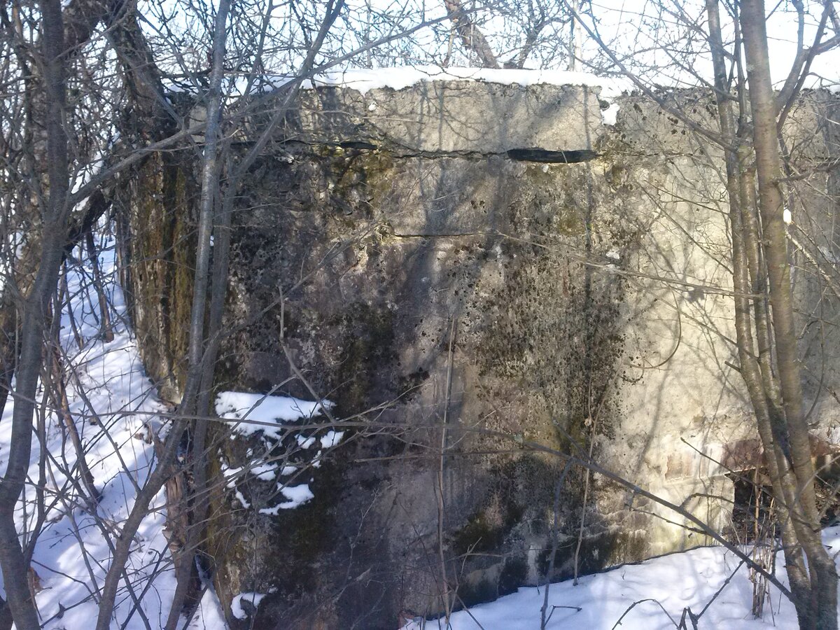 CAM01064.jpg
