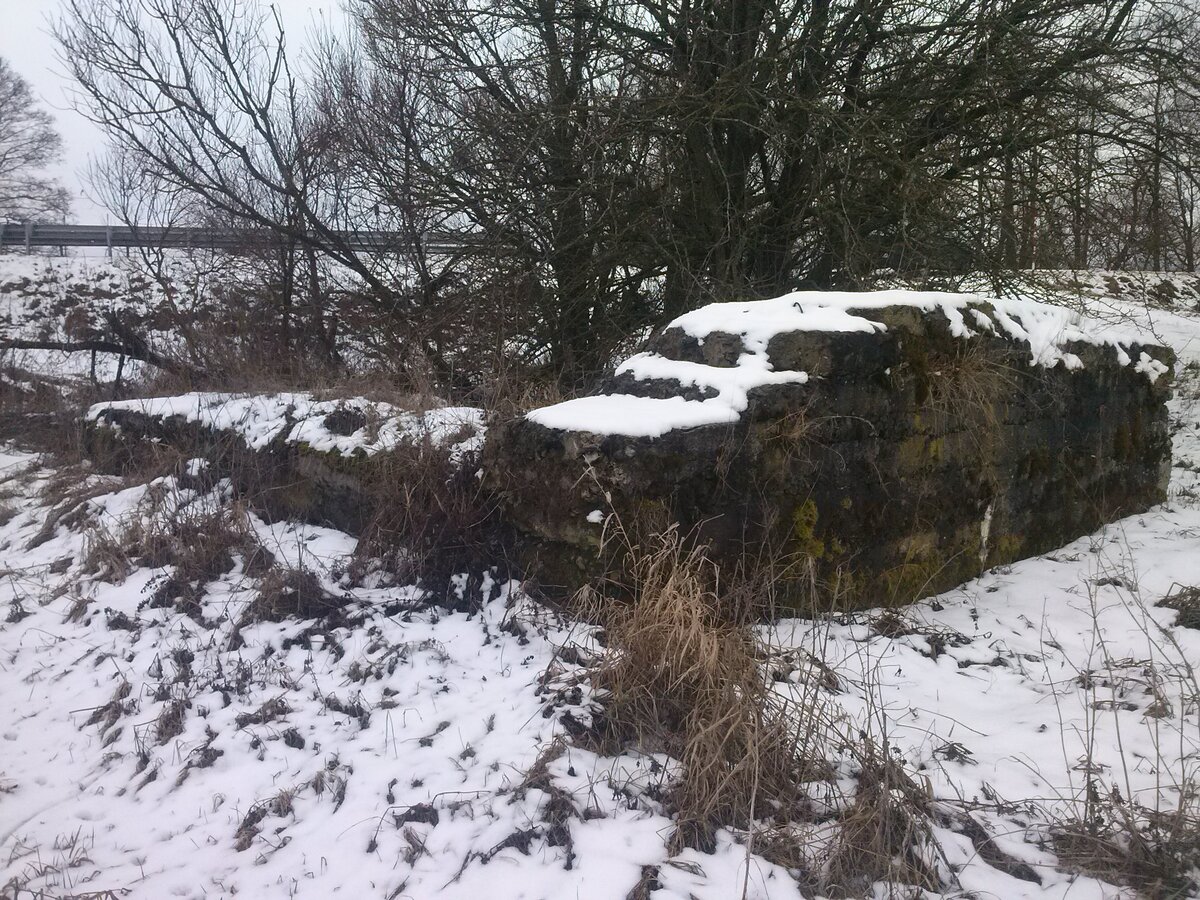 CAM01069.jpg