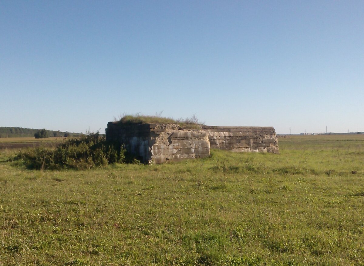 WP_001095.jpg