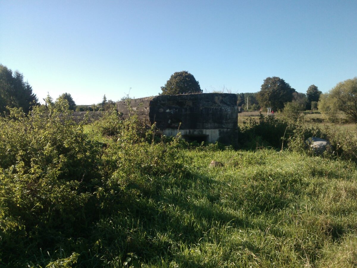 WP_001100.jpg