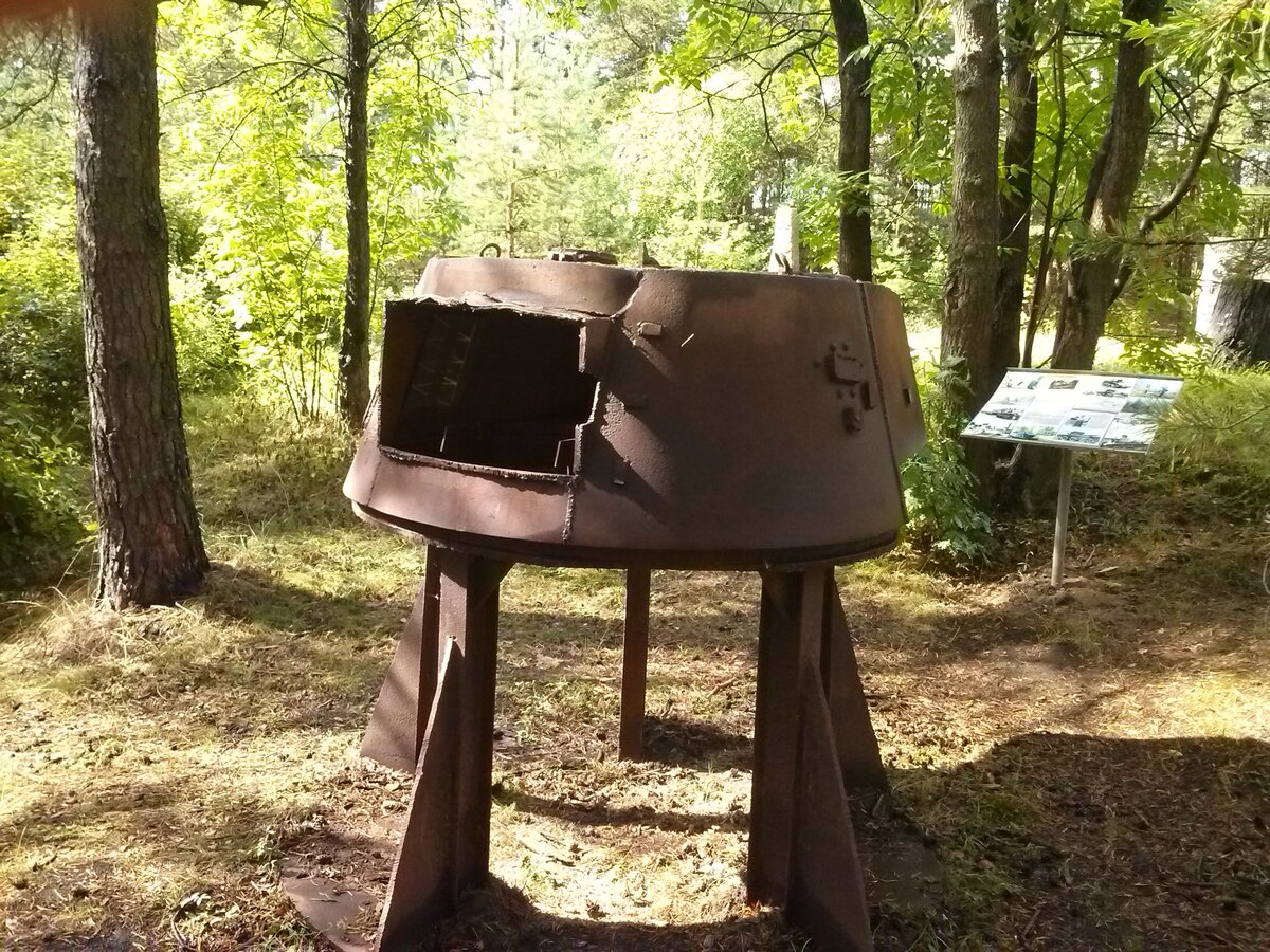CAM00739.jpg