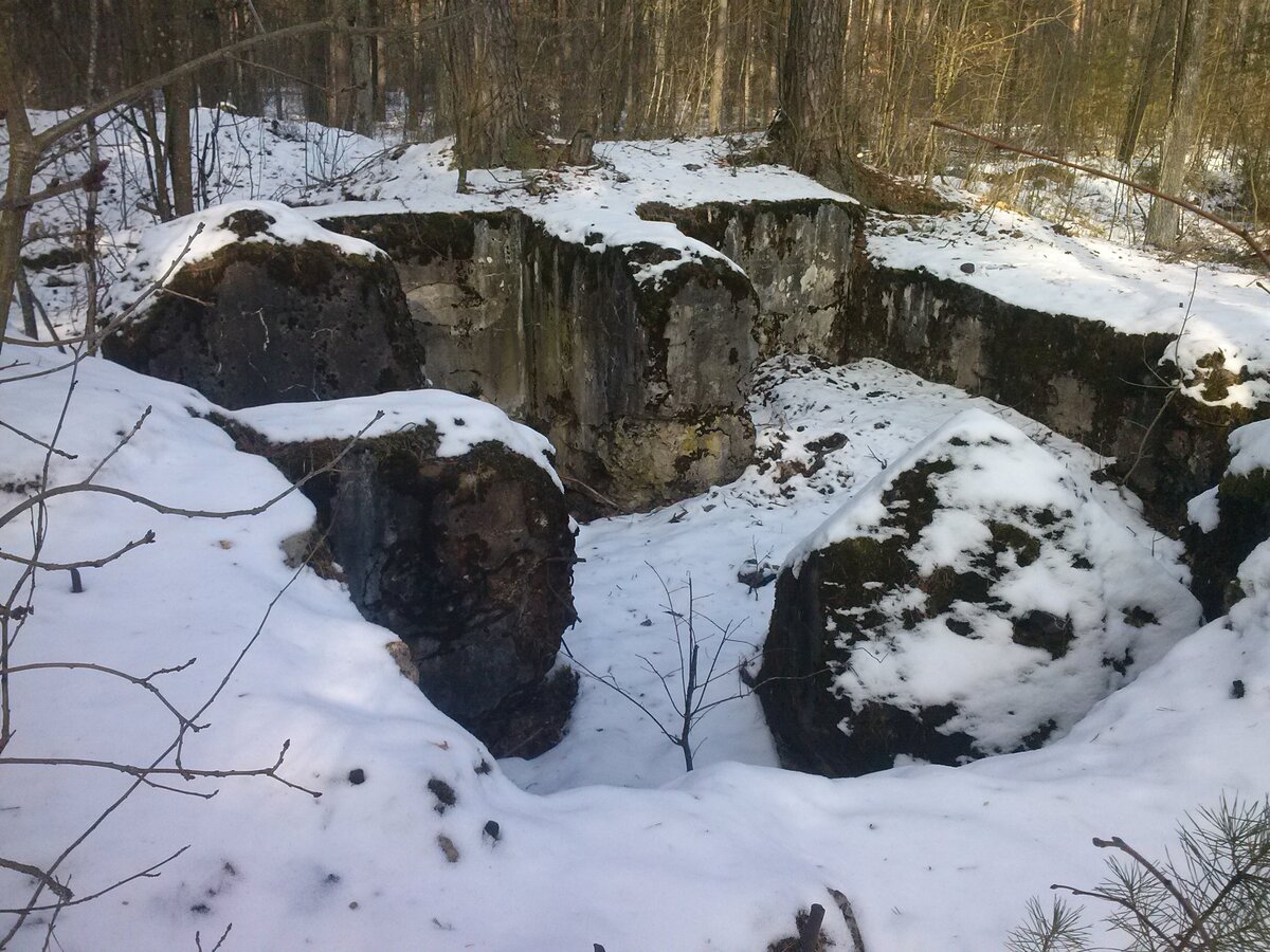 CAM01085.jpg