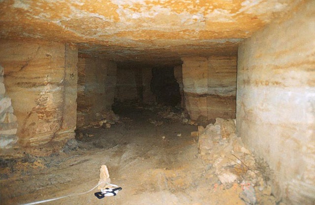 ods51_3.jpg