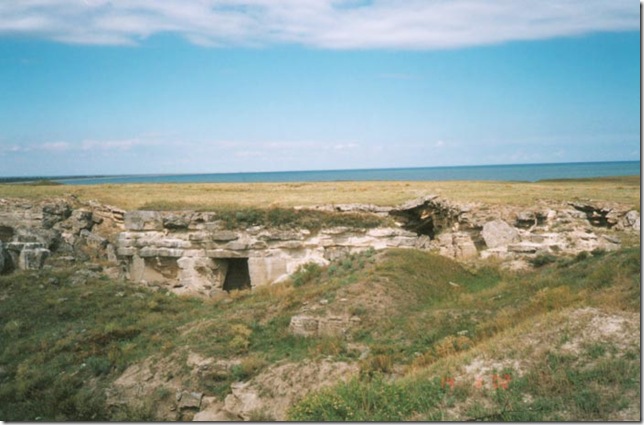 11875404_akm20_3.jpg