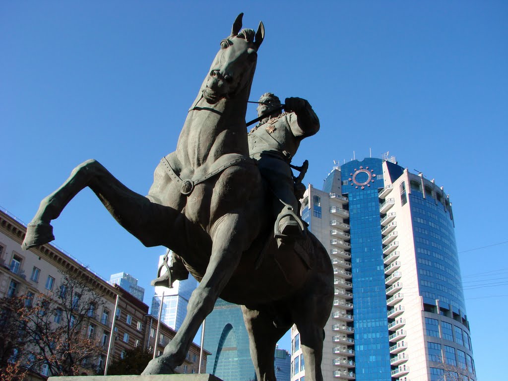 43056437.jpg