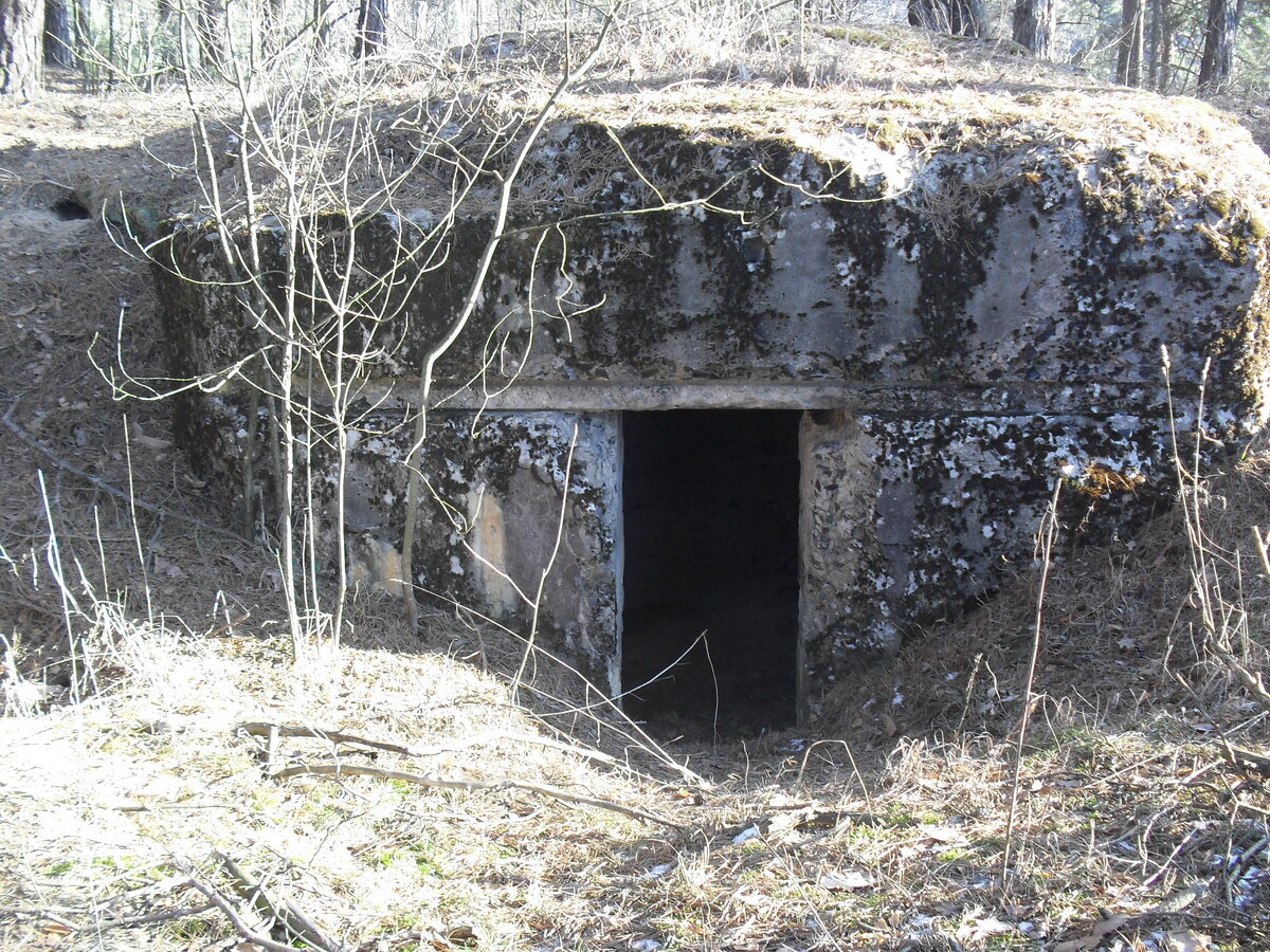 SDC12899.JPG