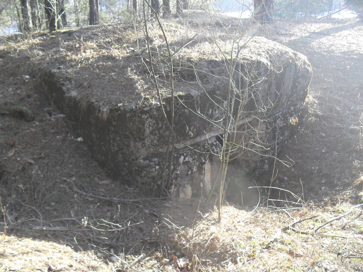 SDC12903.JPG