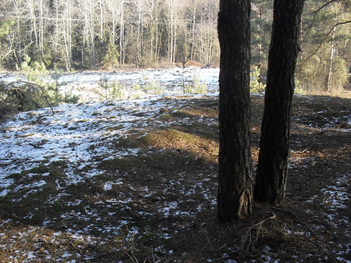 SDC12906.JPG