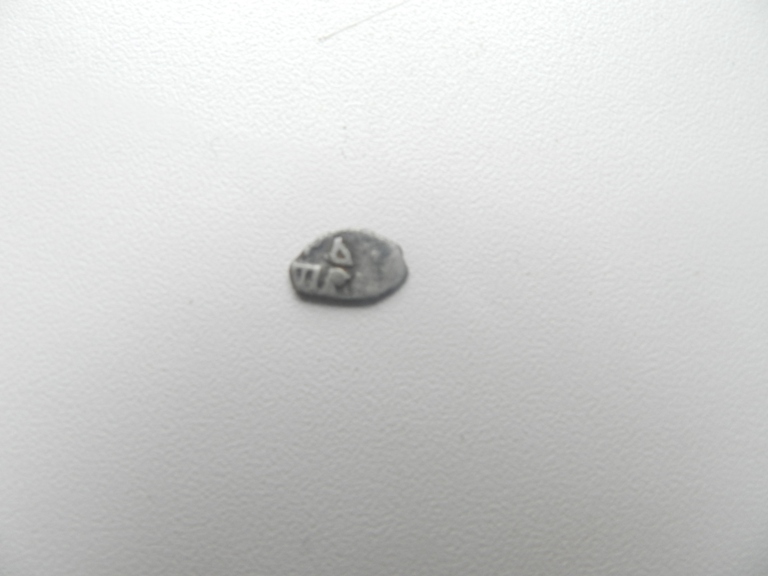 DSCN1009.jpg