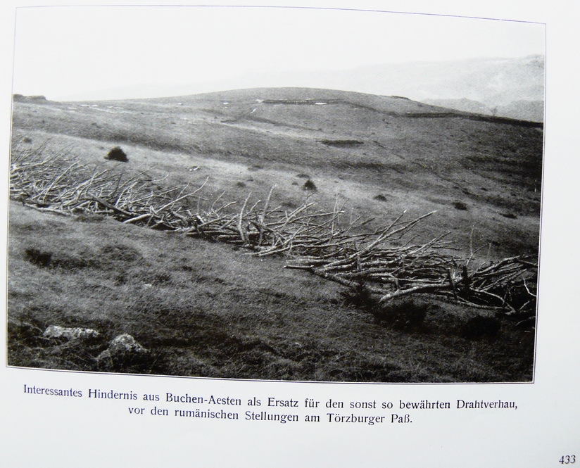 P1050654.JPG