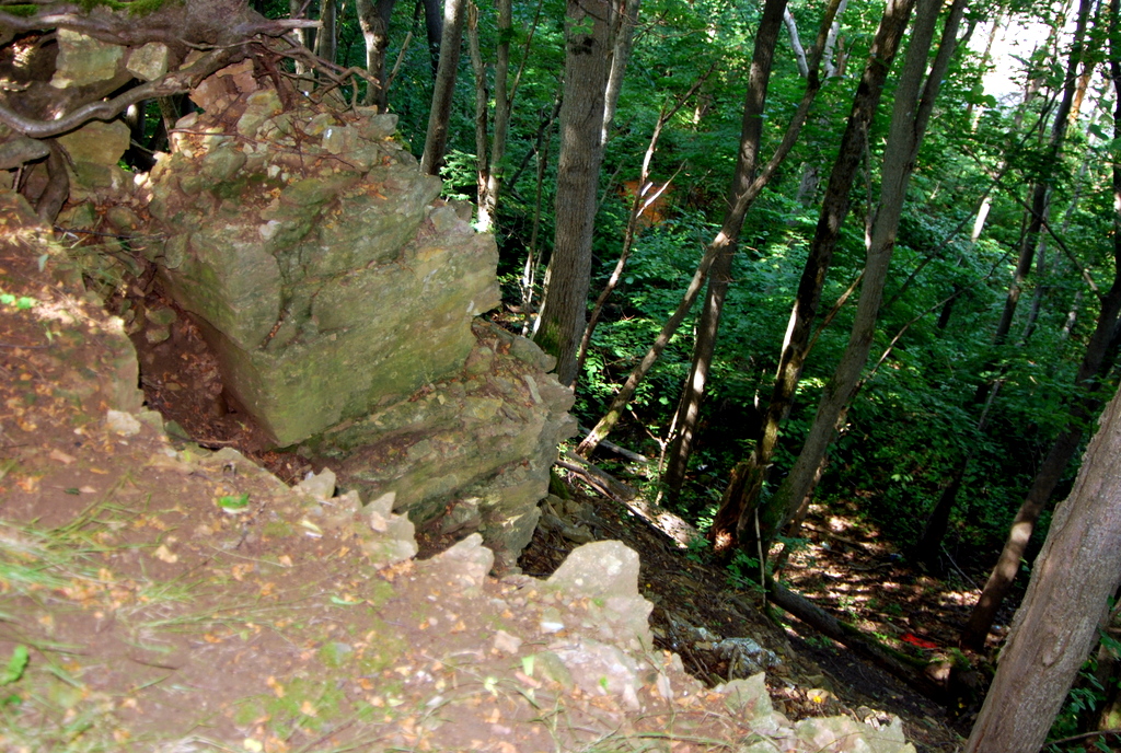 DSC_0474.JPG