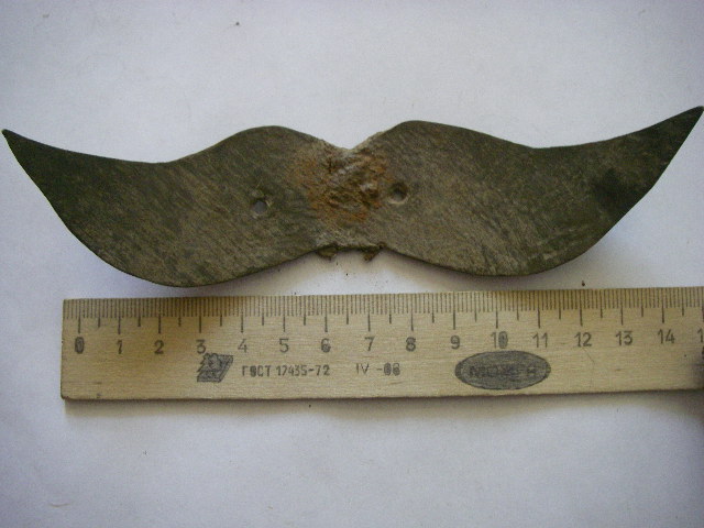IMGP8022.JPG