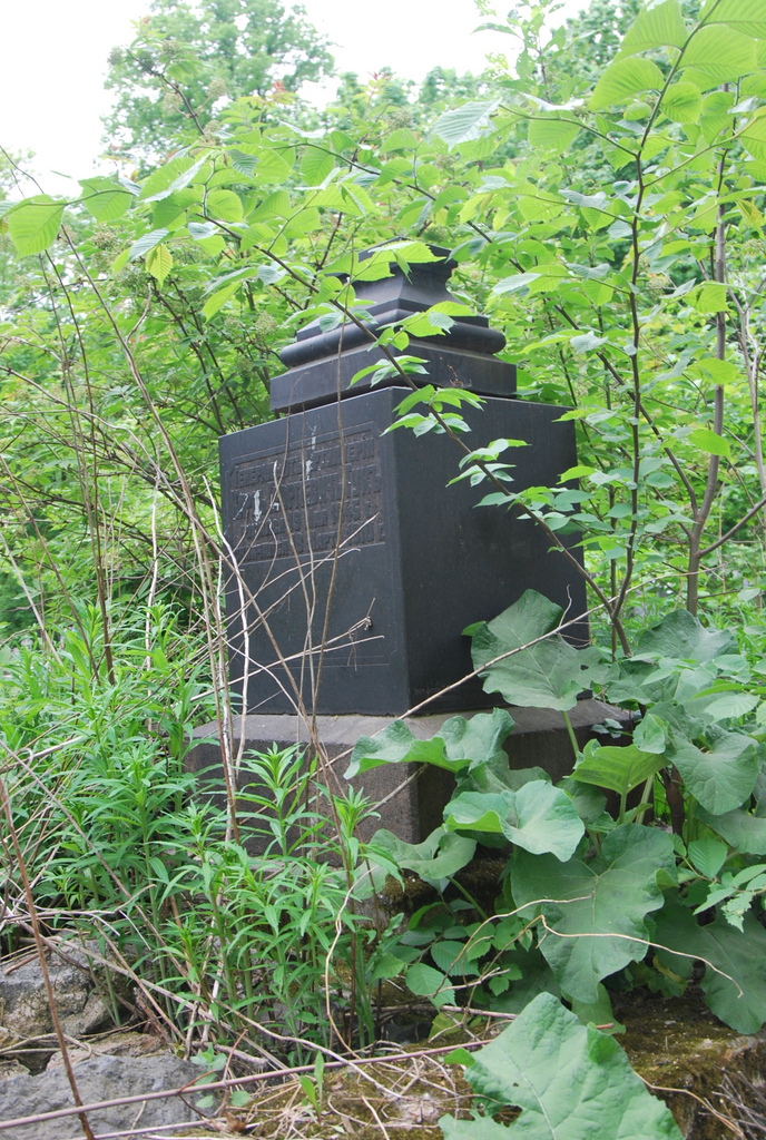 DSC_0517.JPG