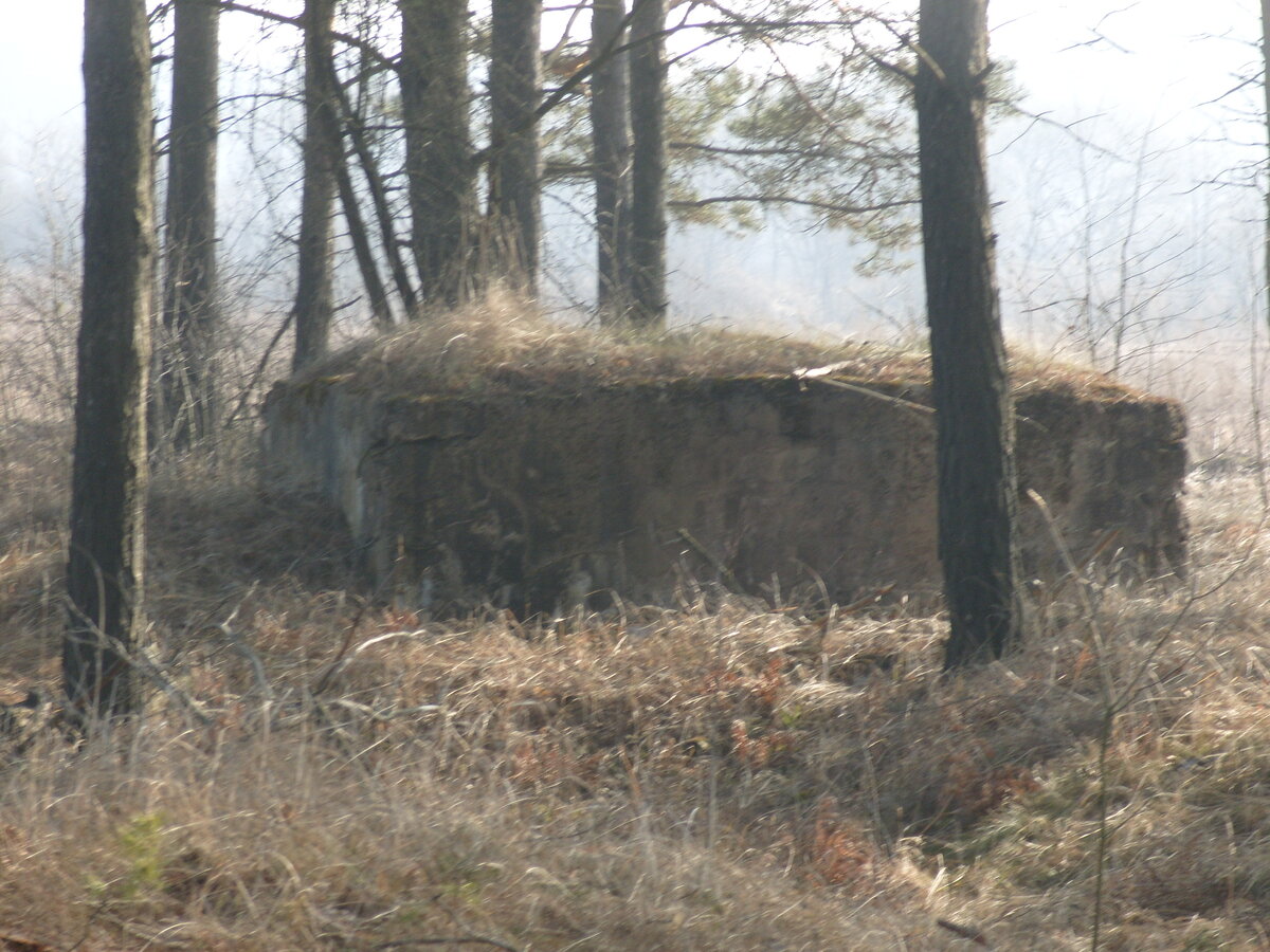S1058552.JPG