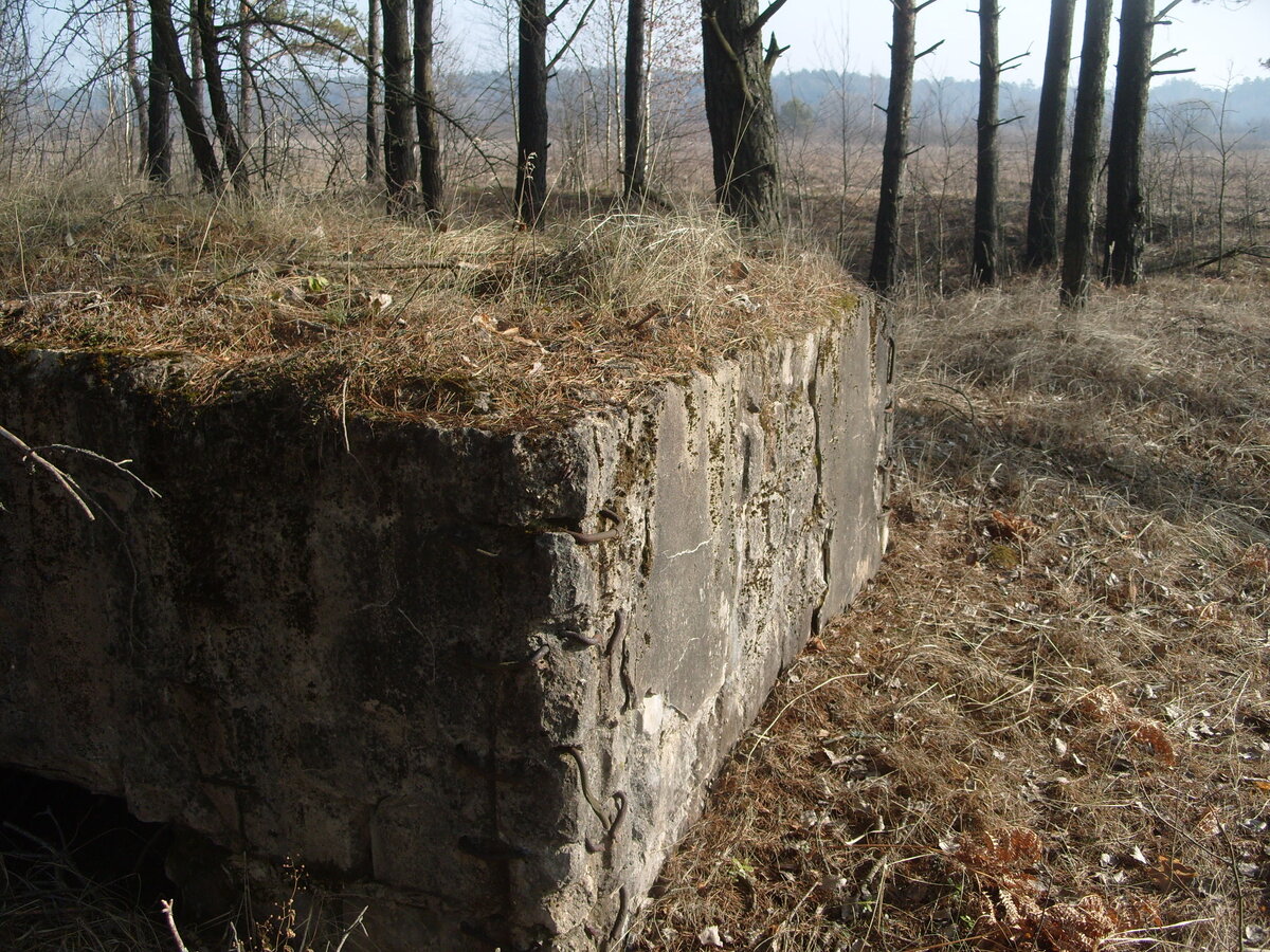 S1058557.JPG