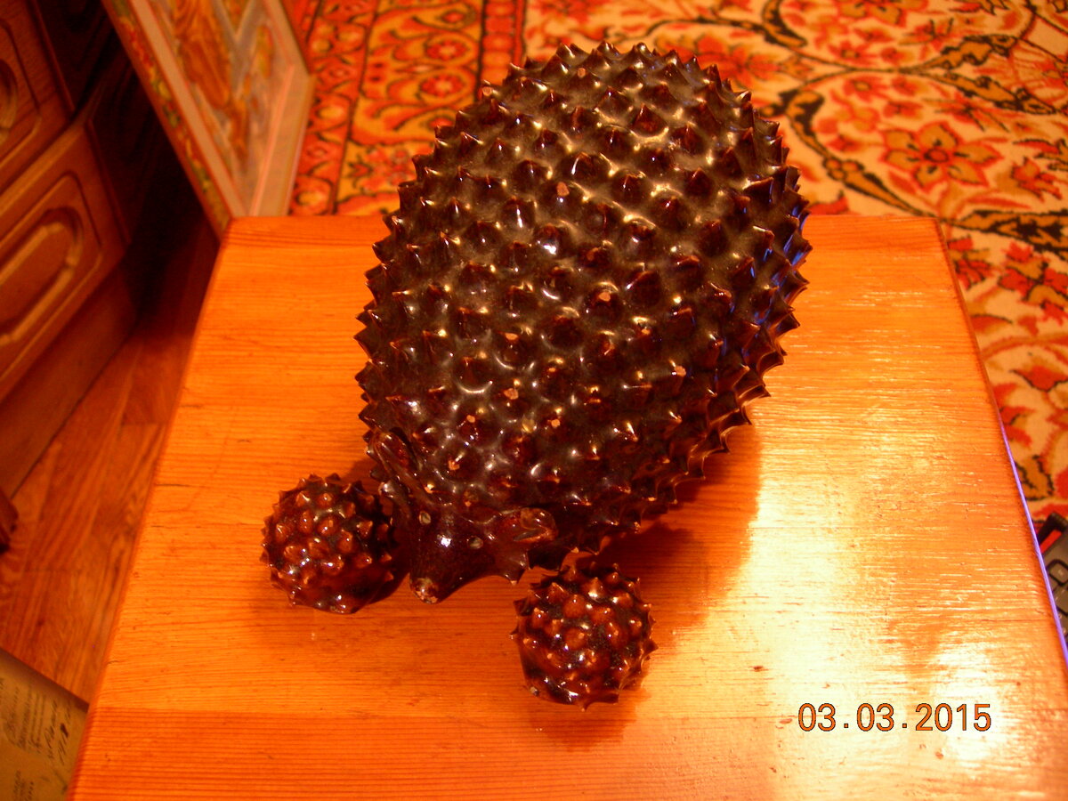 DSCN8676.JPG